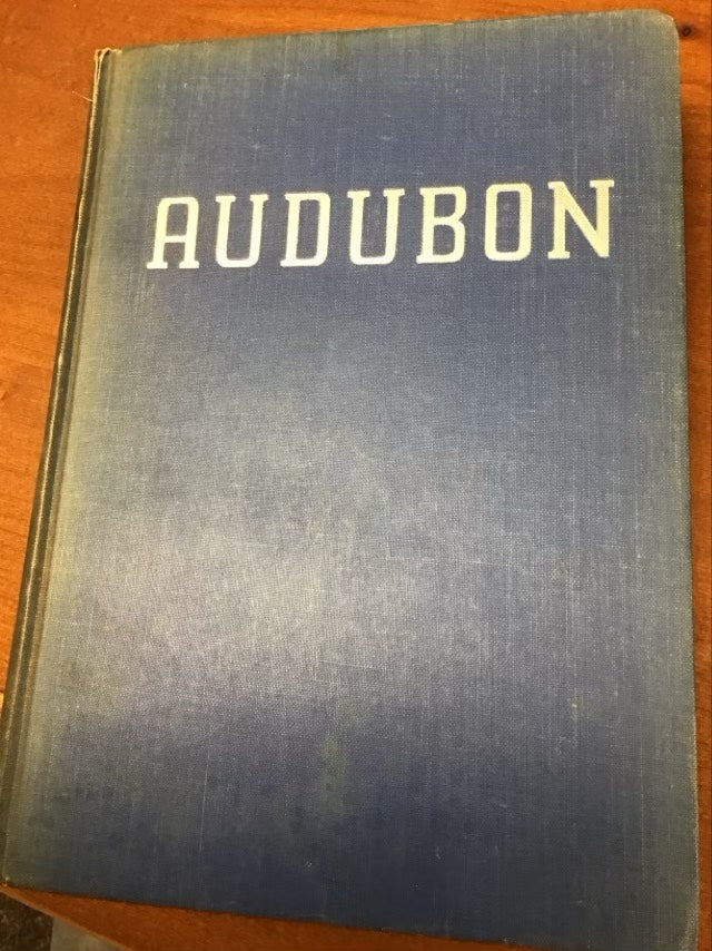 Audubon by Constance Rourke