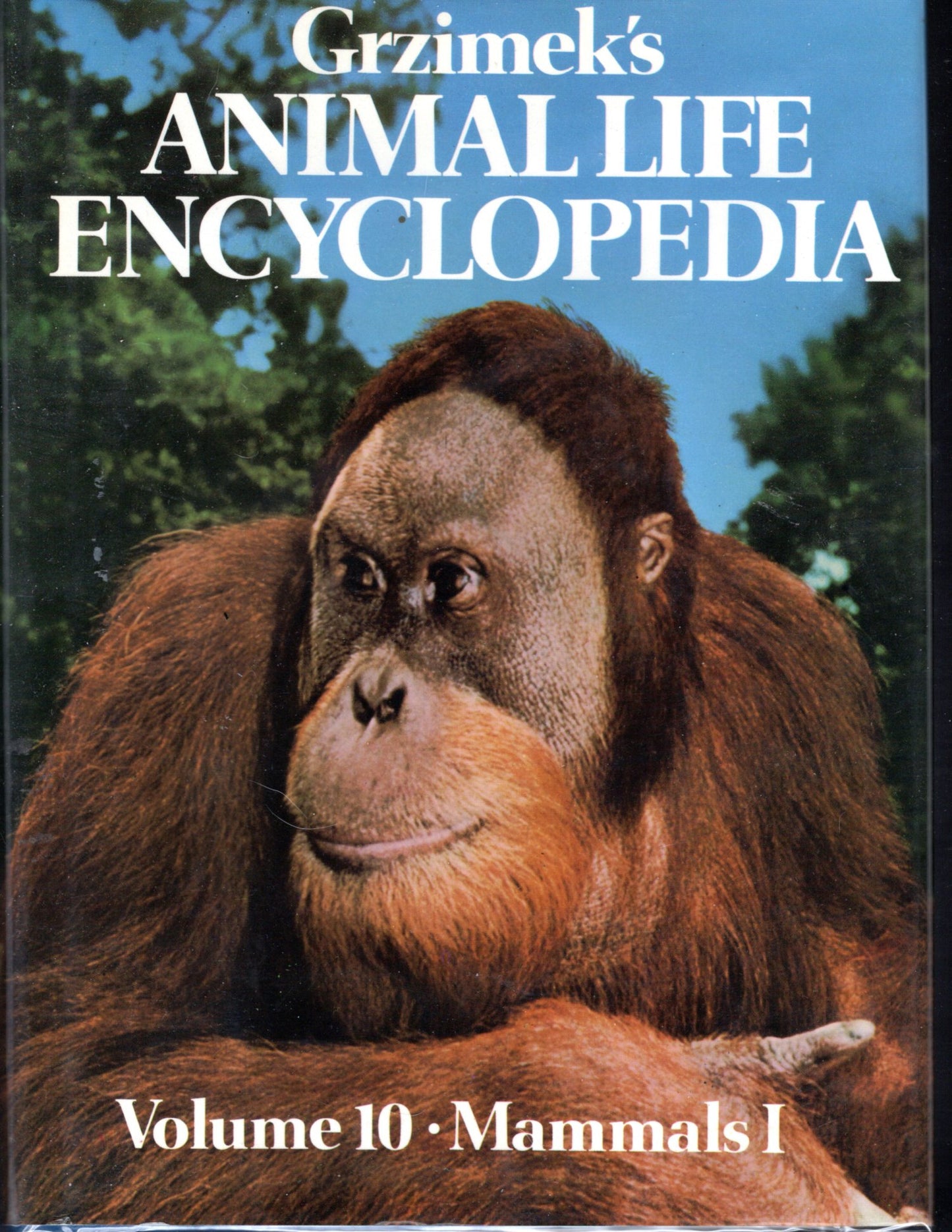 Grzimek's Animal Life Encyclopedia Volume 10 Mammals I by Bernhard Grzimek