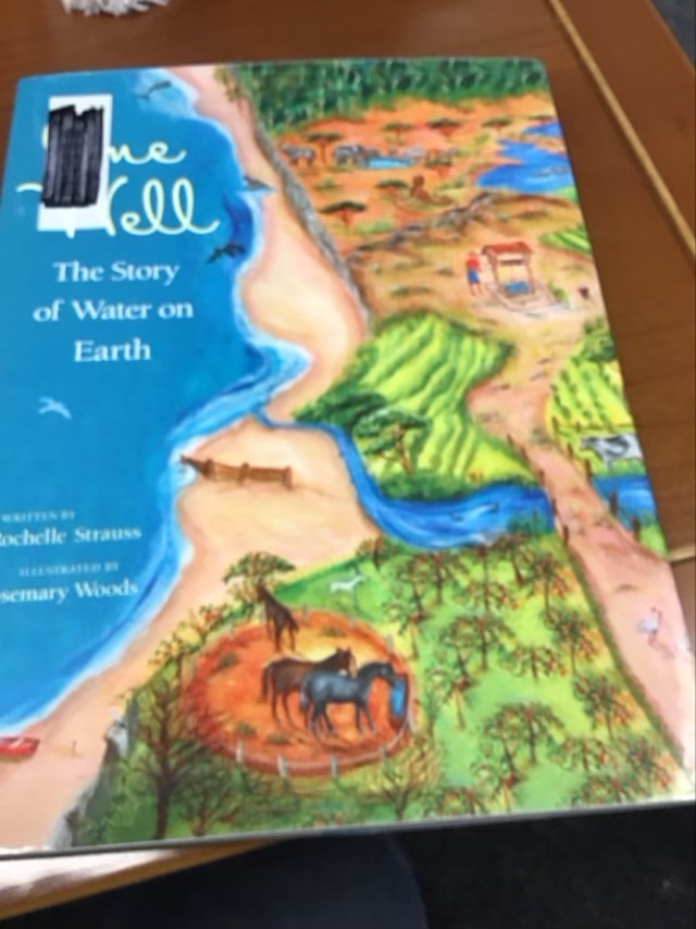 One Well: The Story of Water on Earth (CitizenKid, 4) by Rochelle Strauss * Ex LIbrary Book