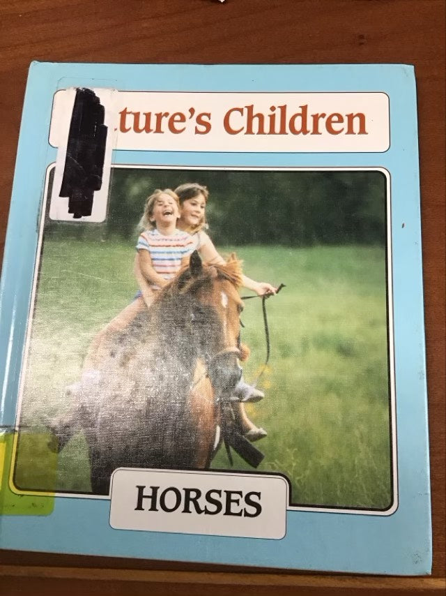 Horses by Maggie Da Silva * Ex Library Book
