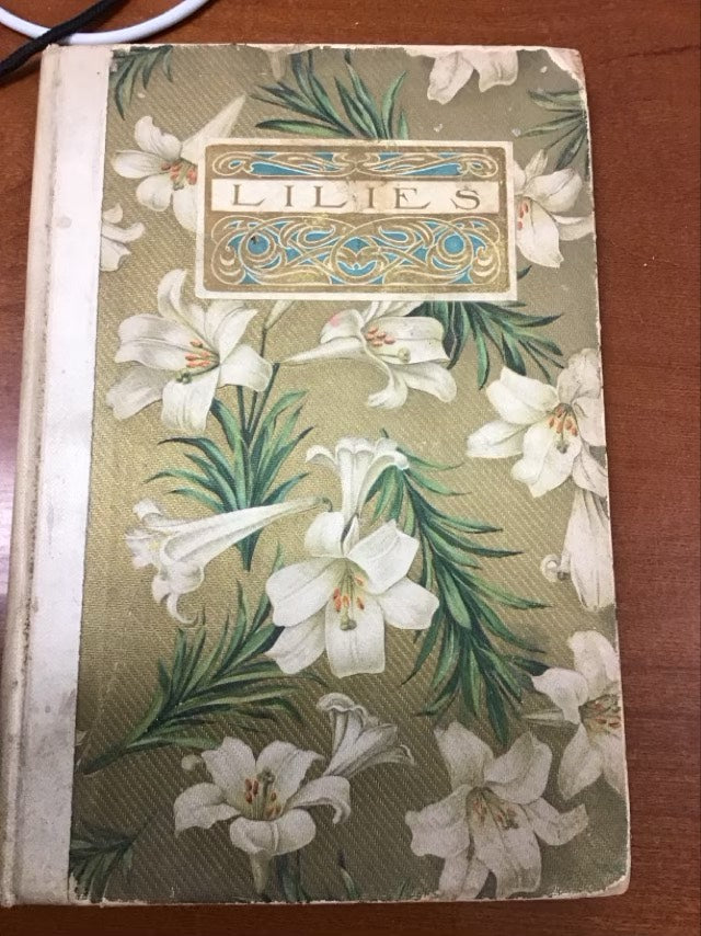 Lilies * Some Pages Are Loose by N.Hudson Moore