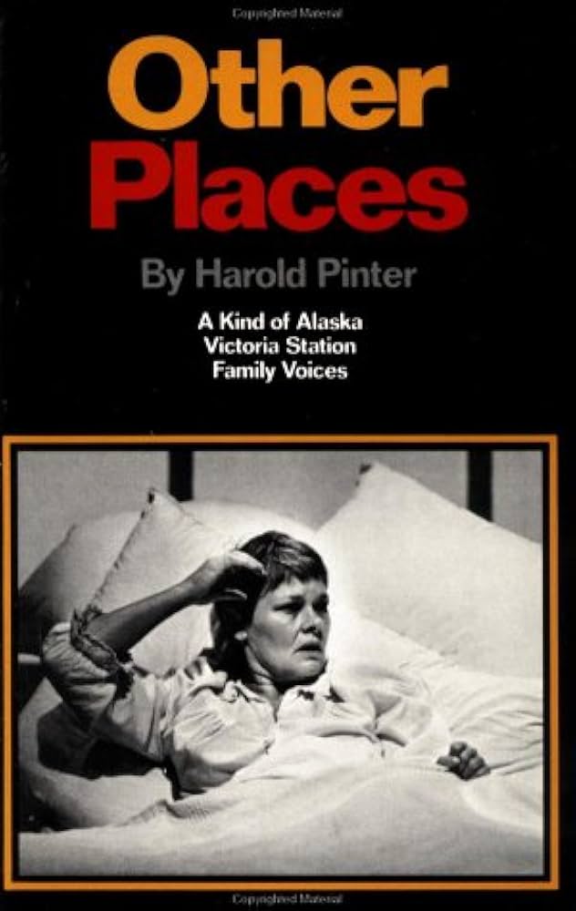 Other Places by Harold Pinter