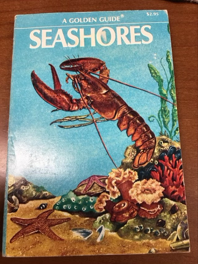 A Golden Guide Seashores