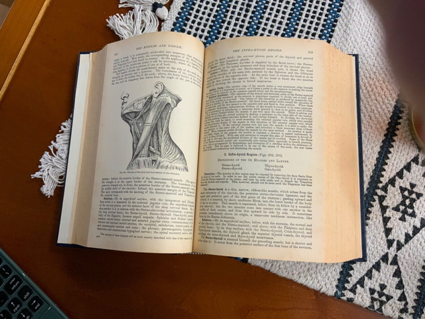 Henry Gray & John A. Crocco GRAY'S ANATOMY Classic Collector's Edition 2nd Print