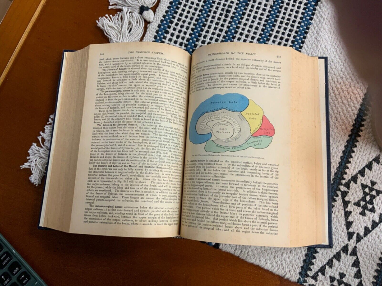 Henry Gray & John A. Crocco GRAY'S ANATOMY Classic Collector's Edition 2nd Print