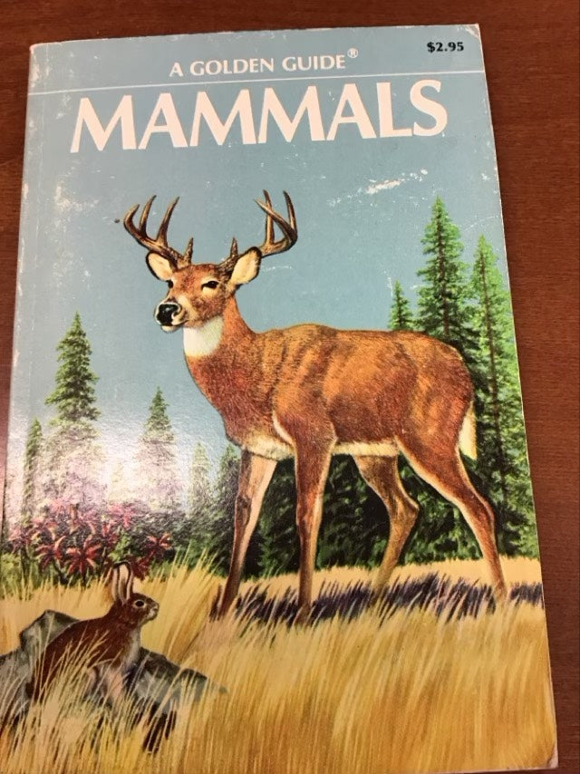 A Golden Guide to Mammals