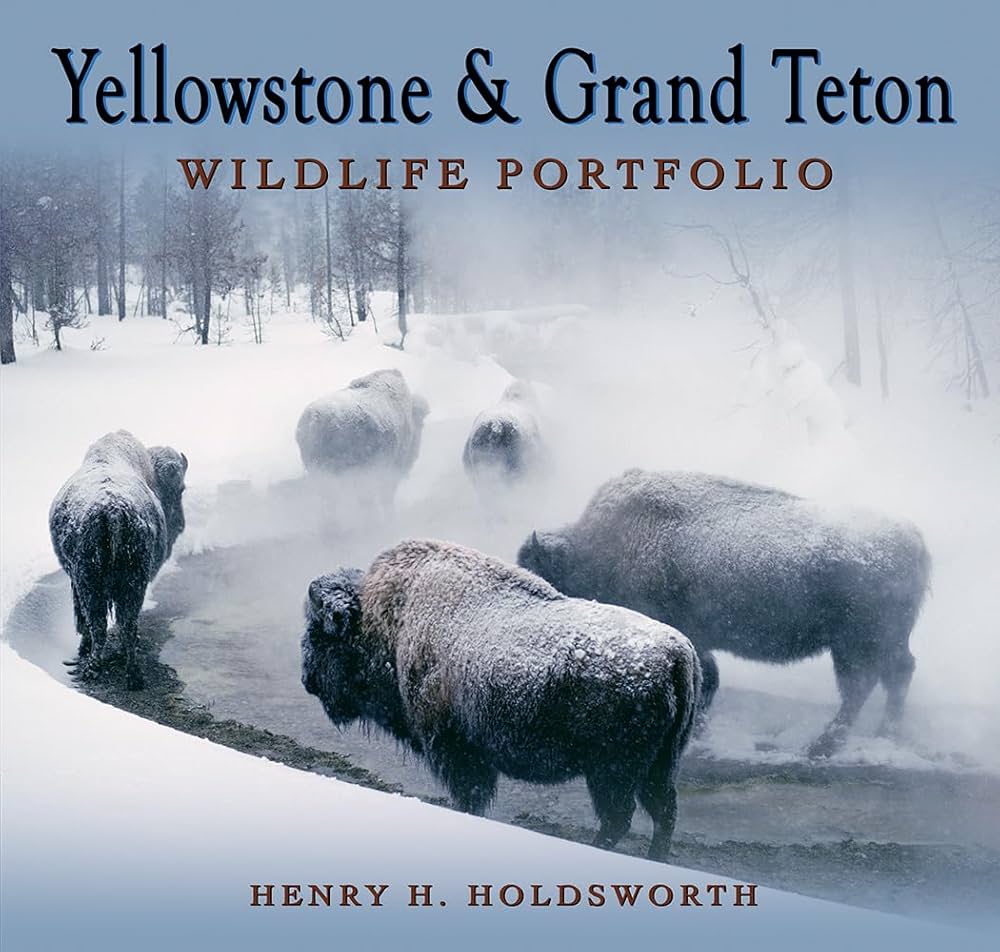Yellowstone & Grand Teton by Henry H. Holdsworth