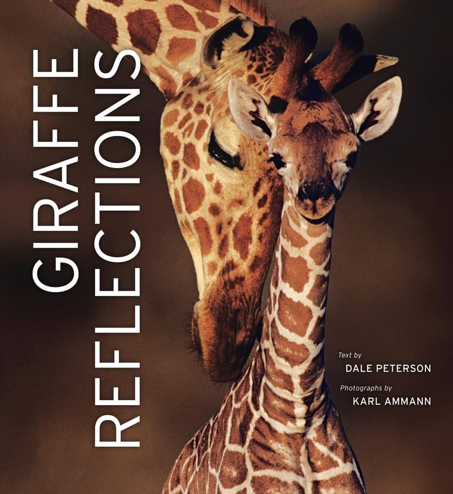 Giraffe Reflections by Dale Peterson