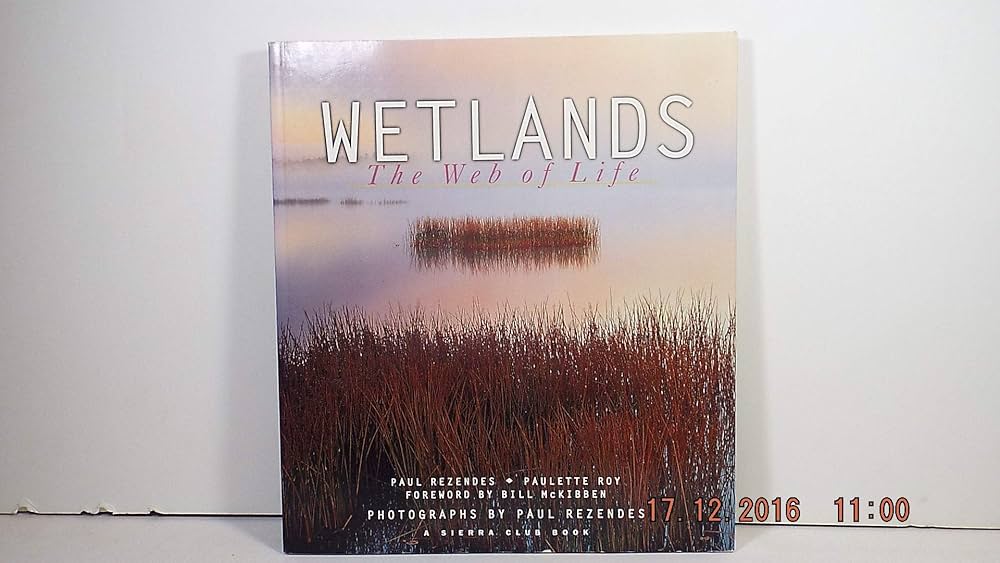 Wetlands by Paul Rezendes,Paulette M. Roy