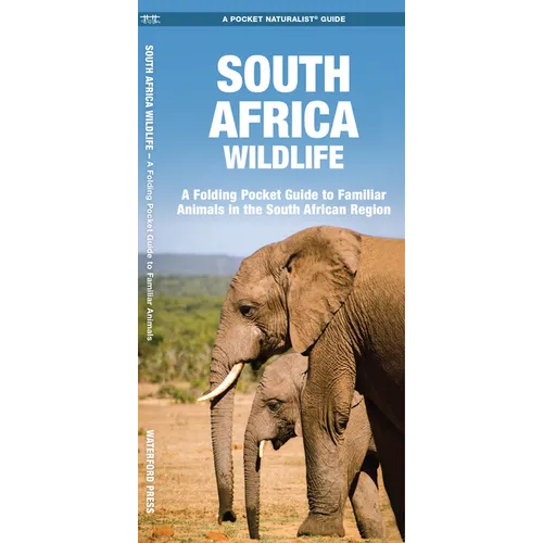 South Africa Wildlife: A Folding Pocket Guide to Familiar Animals in the South African Region