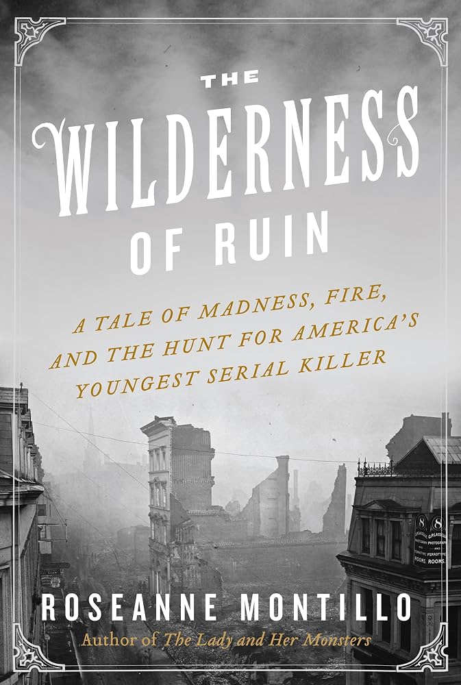 The Wilderness of Ruin: A Tale of Madness, Fire, and the Hunt for America's Youngest Serial Killer by Roseanne Montillo