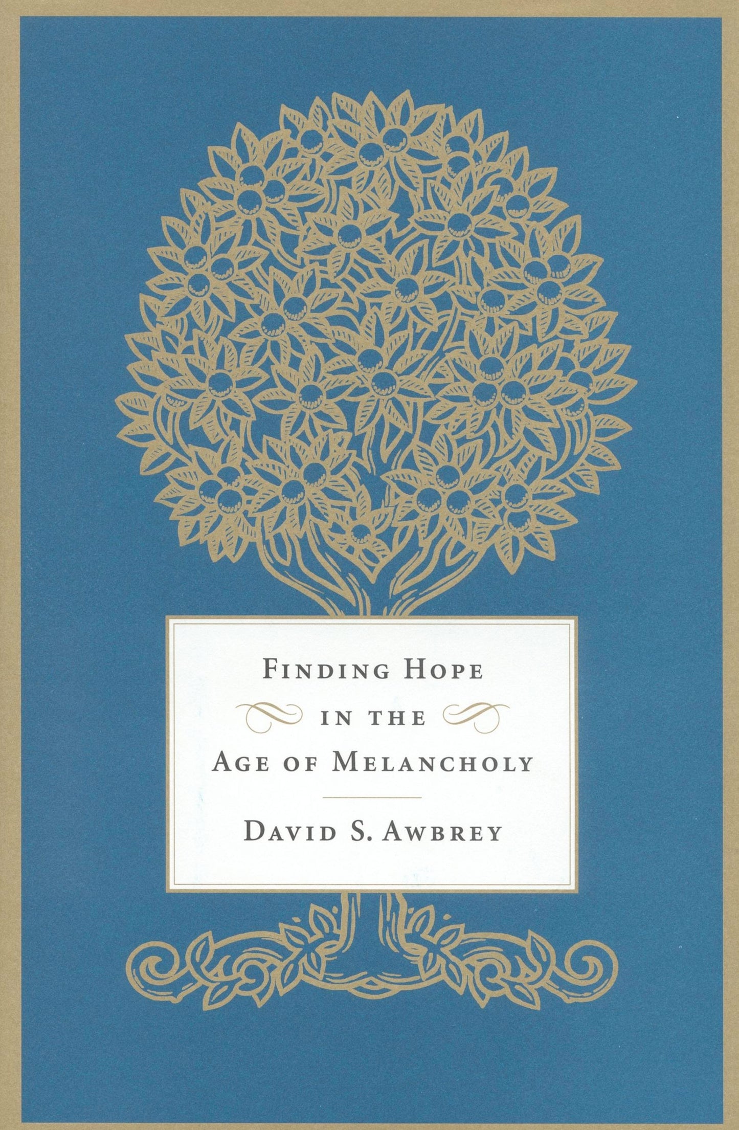 Finding Hope in the Age of Melancholy by David S. Awbrey