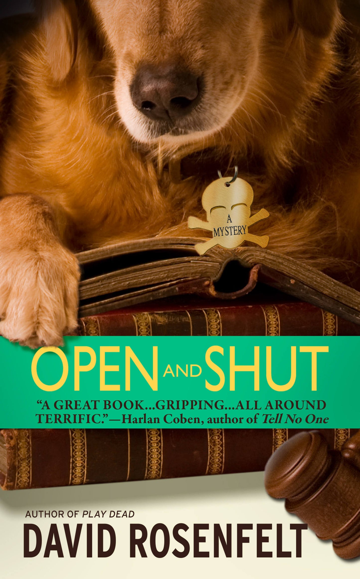 Open and Shut by David Rosenfelt
