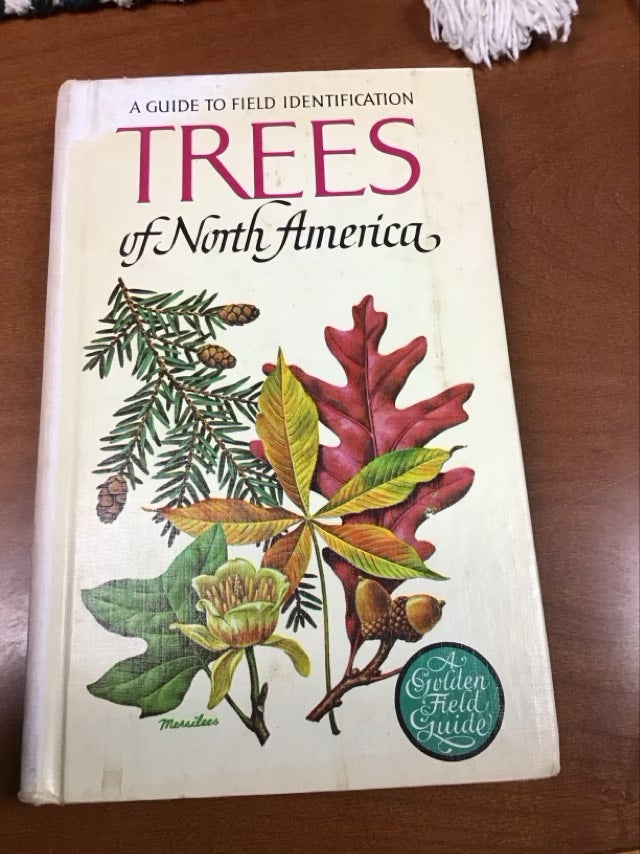 A Guide To Field Identification Trees of North America by C. Frank Brockman