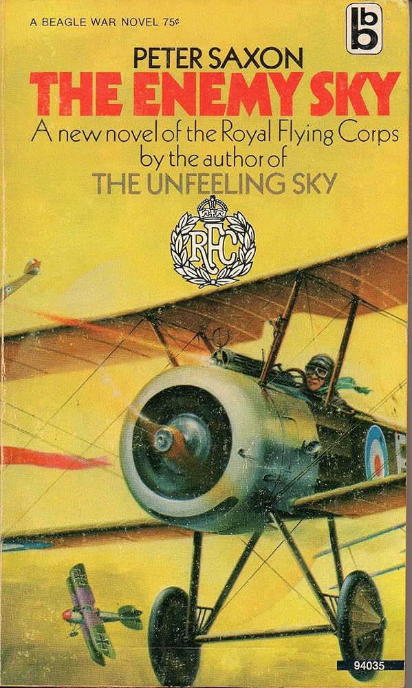 The Enemy Sky by Peter Saxon