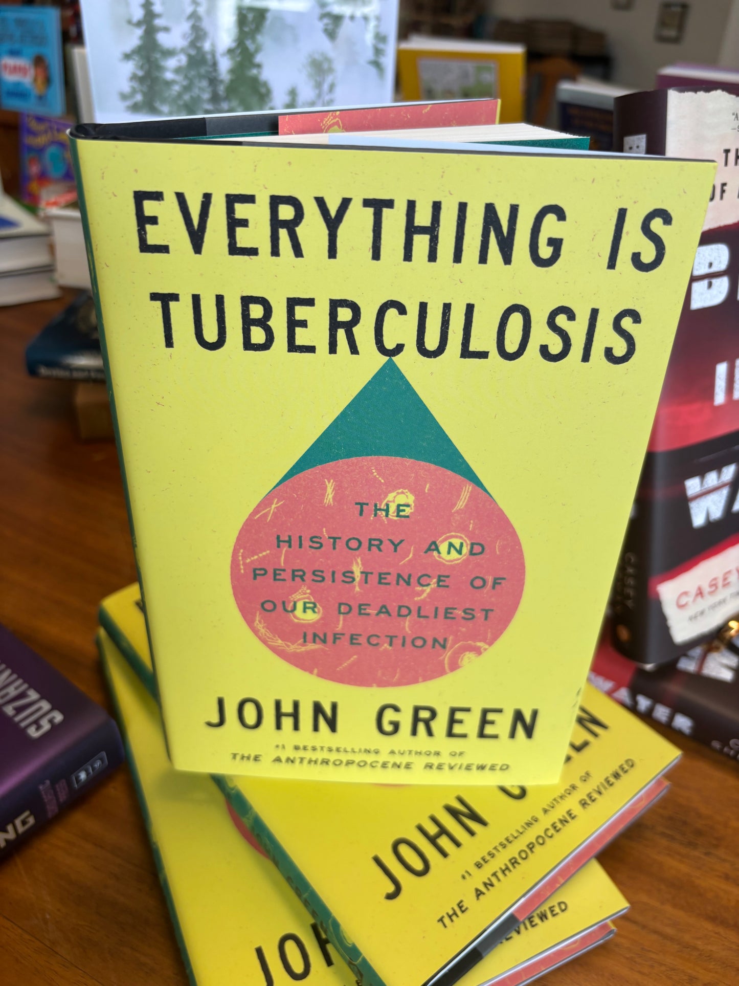 Everything Is Tuberculosis by John Green