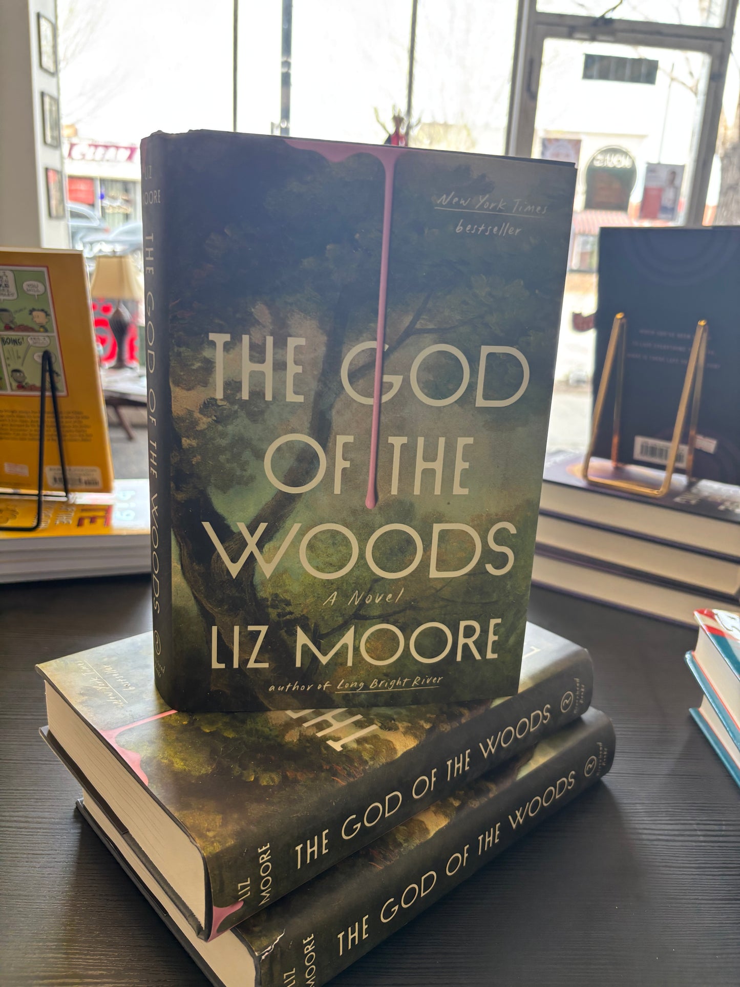 The God of the Woods by Liz Moore