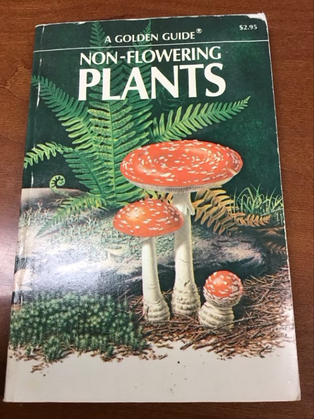 A Golden Guide Non-Flowering Plants