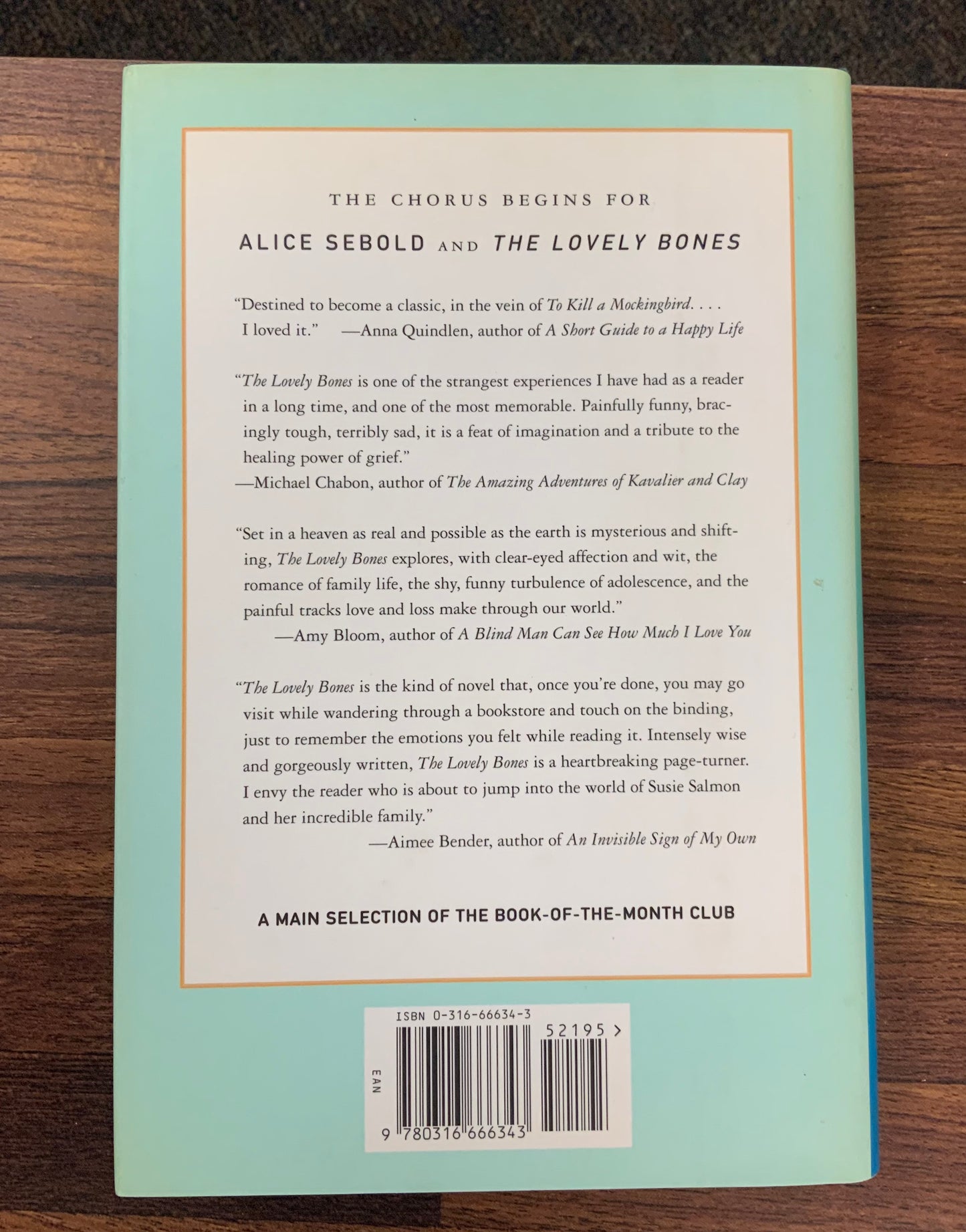 The Lovely Bones by Alice Sebold