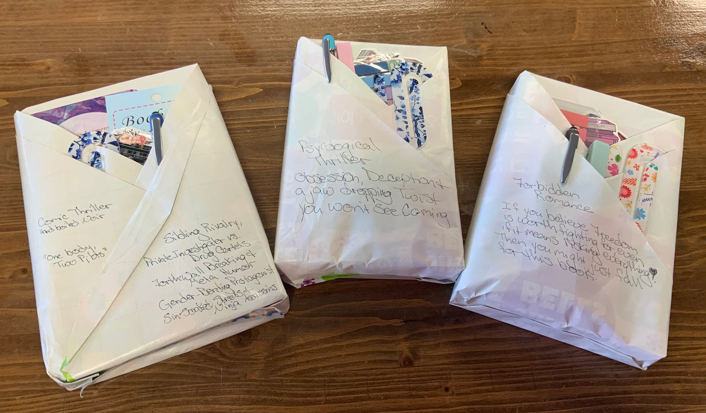 Blind Date With A Book Bundles - Small