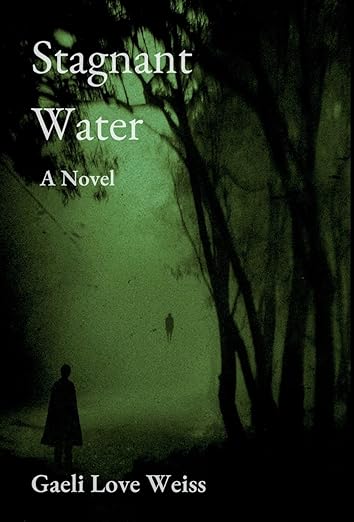 Stagnant Water by Gaili Love Weiss