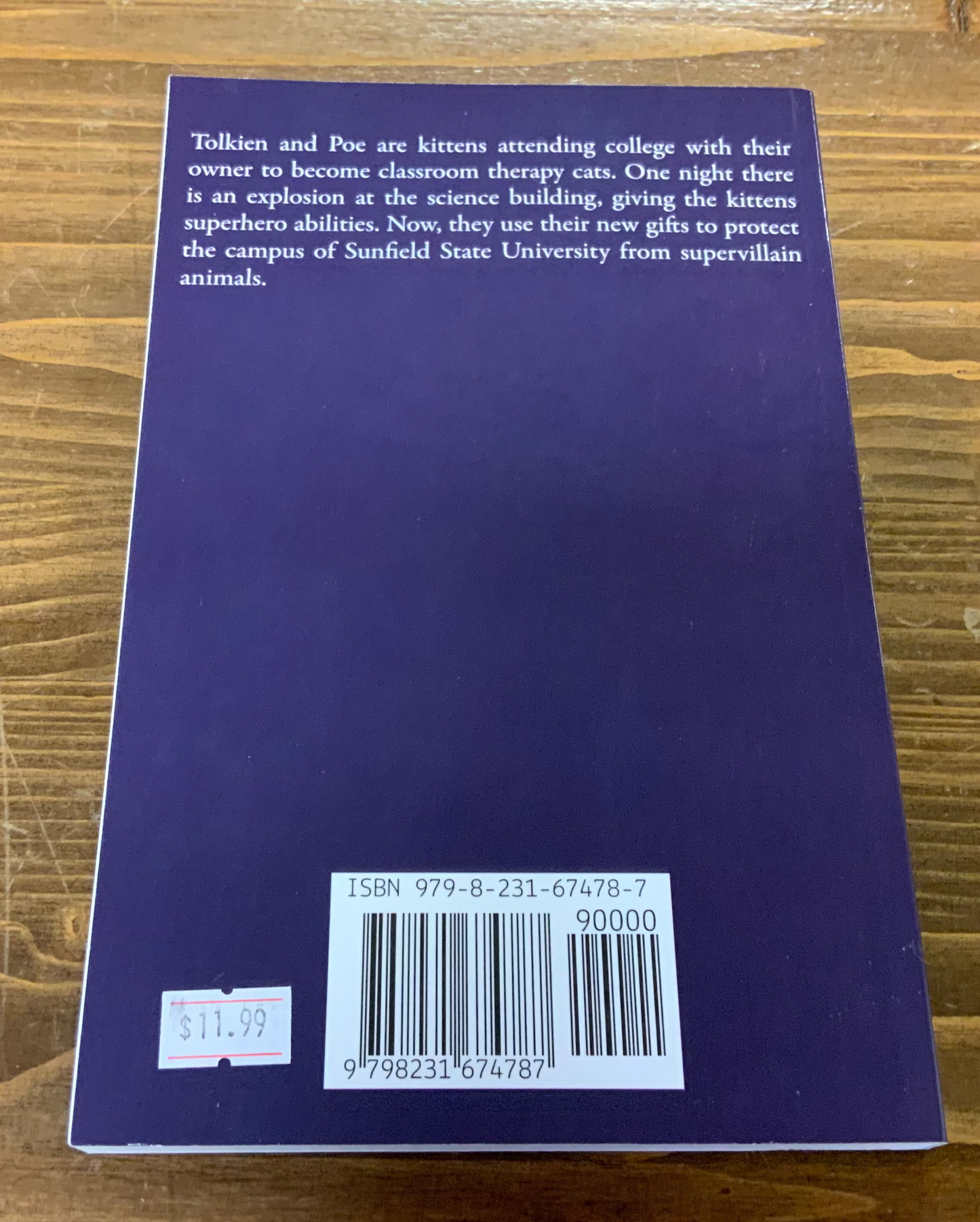 Paws of Destiny Freshman Year Stories of Super Kittens by Morgan Schmidt