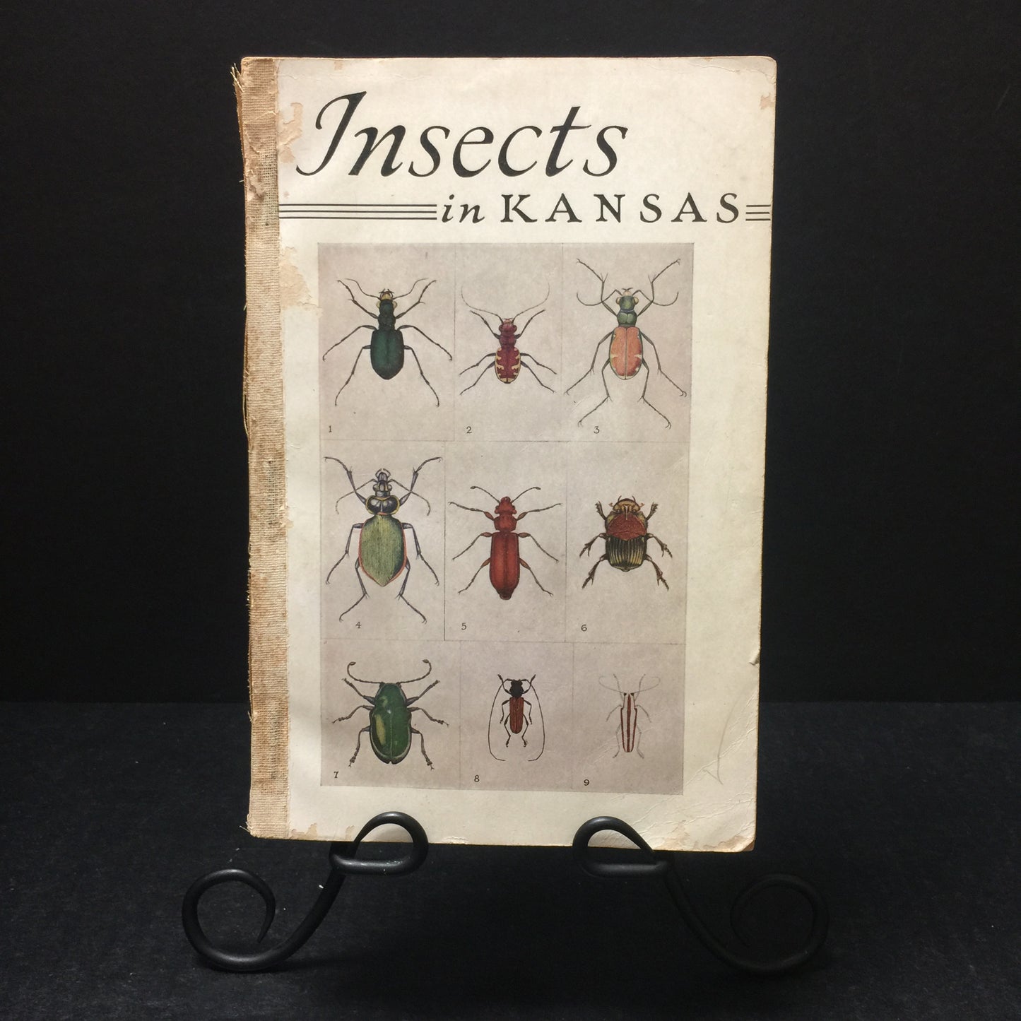 Insects in Kansas by Roger C. Smith,Dell E. Gates,Leroy L. Peters
