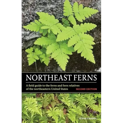 Northeast Ferns: A Field Guide to the Ferns and Fern Relatives of the Northeastern United States