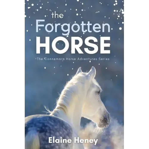 The Forgotten Horse - Book 1 in the Connemara Horse Adventure Series for Kids. The perfect gift for children age 8-12.