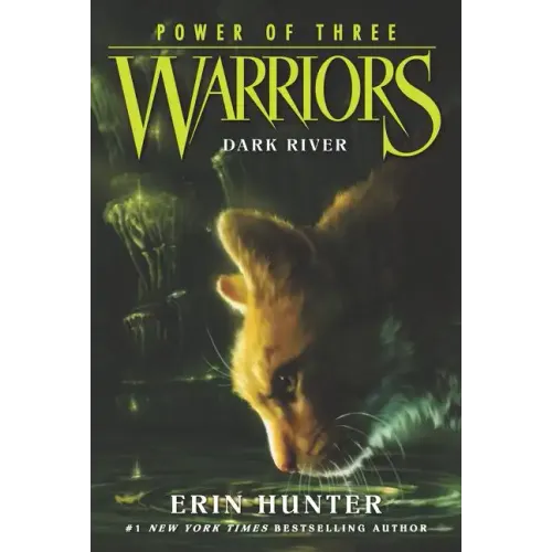 Warriors: Power of Three #2: Dark River
