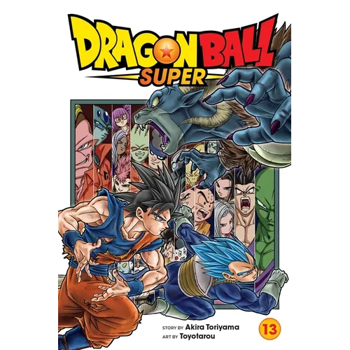 Dragon Ball Super, Vol. 13