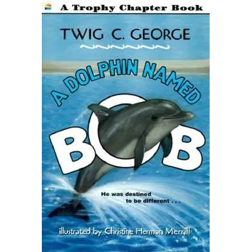 A Dolphin Named Bob