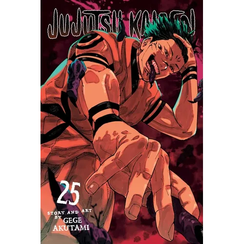 Jujutsu Kaisen, Vol. 25