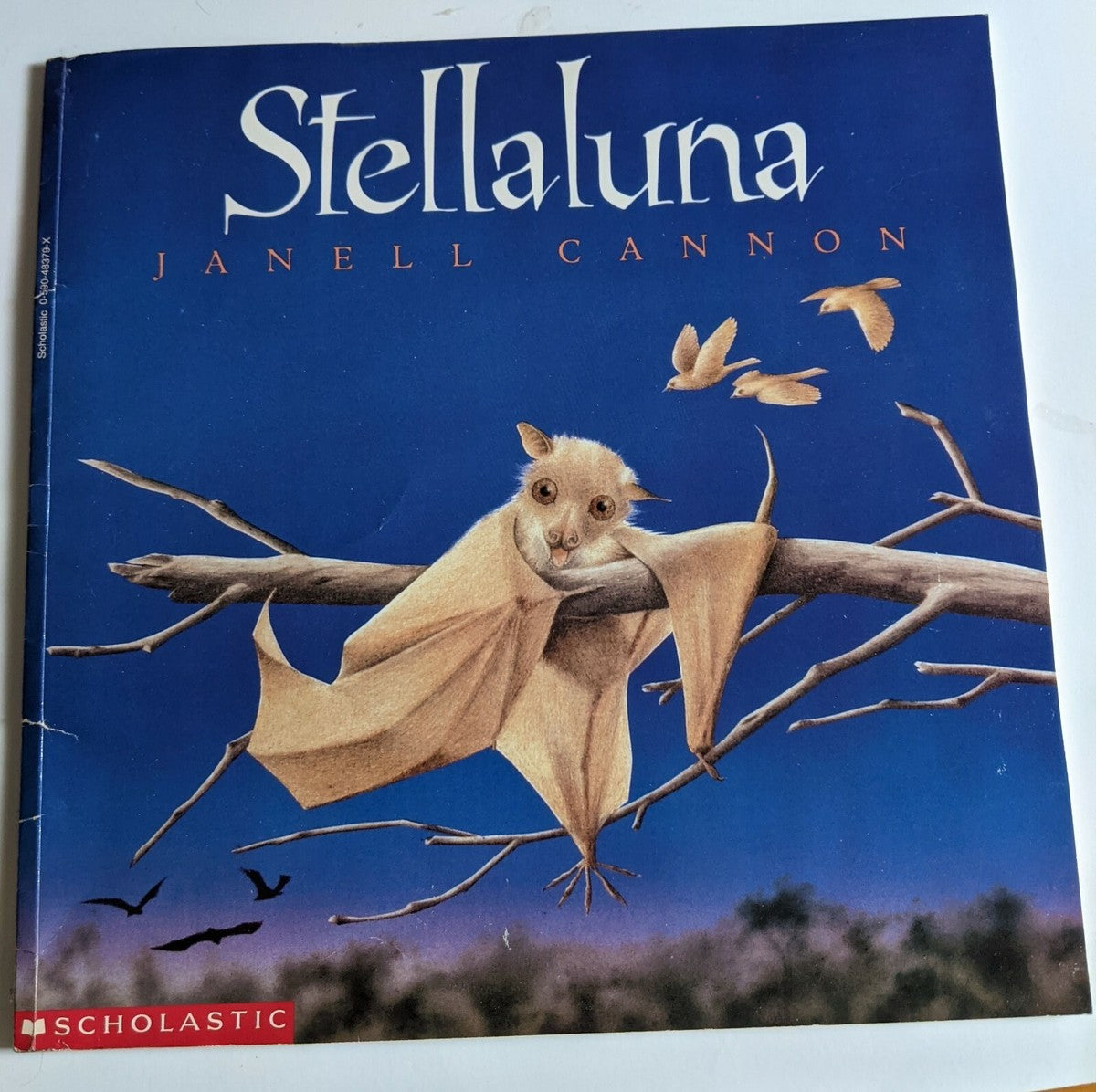 Stellaluna by Janell Cannon