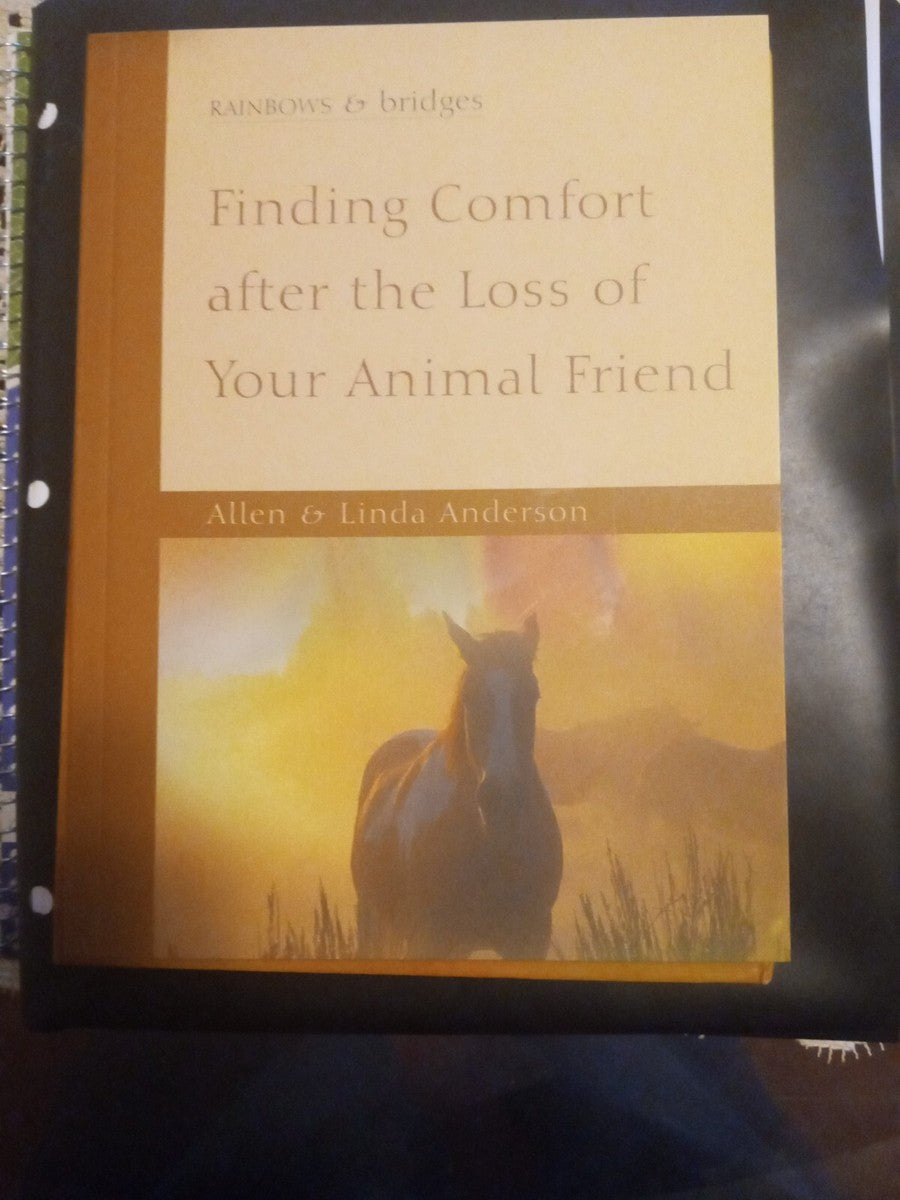 Rainbows and Bridges by Allen Anderson,Linda C. Anderson