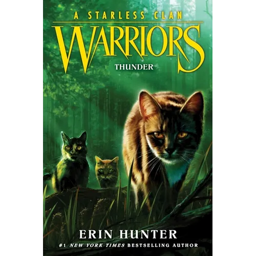Warriors: A Starless Clan #4: Thunder