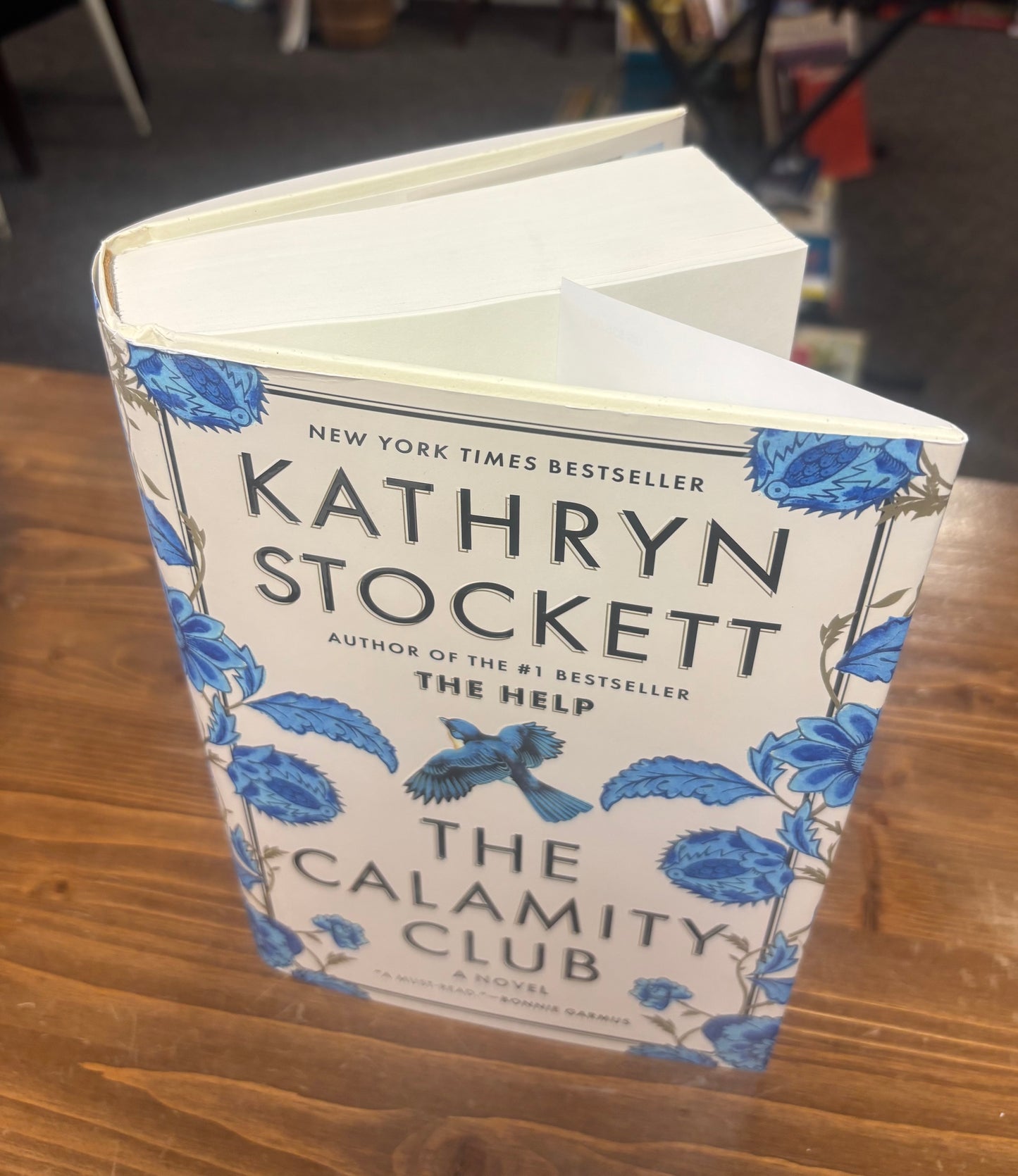 The Calamity Club by Kathryn Stockett