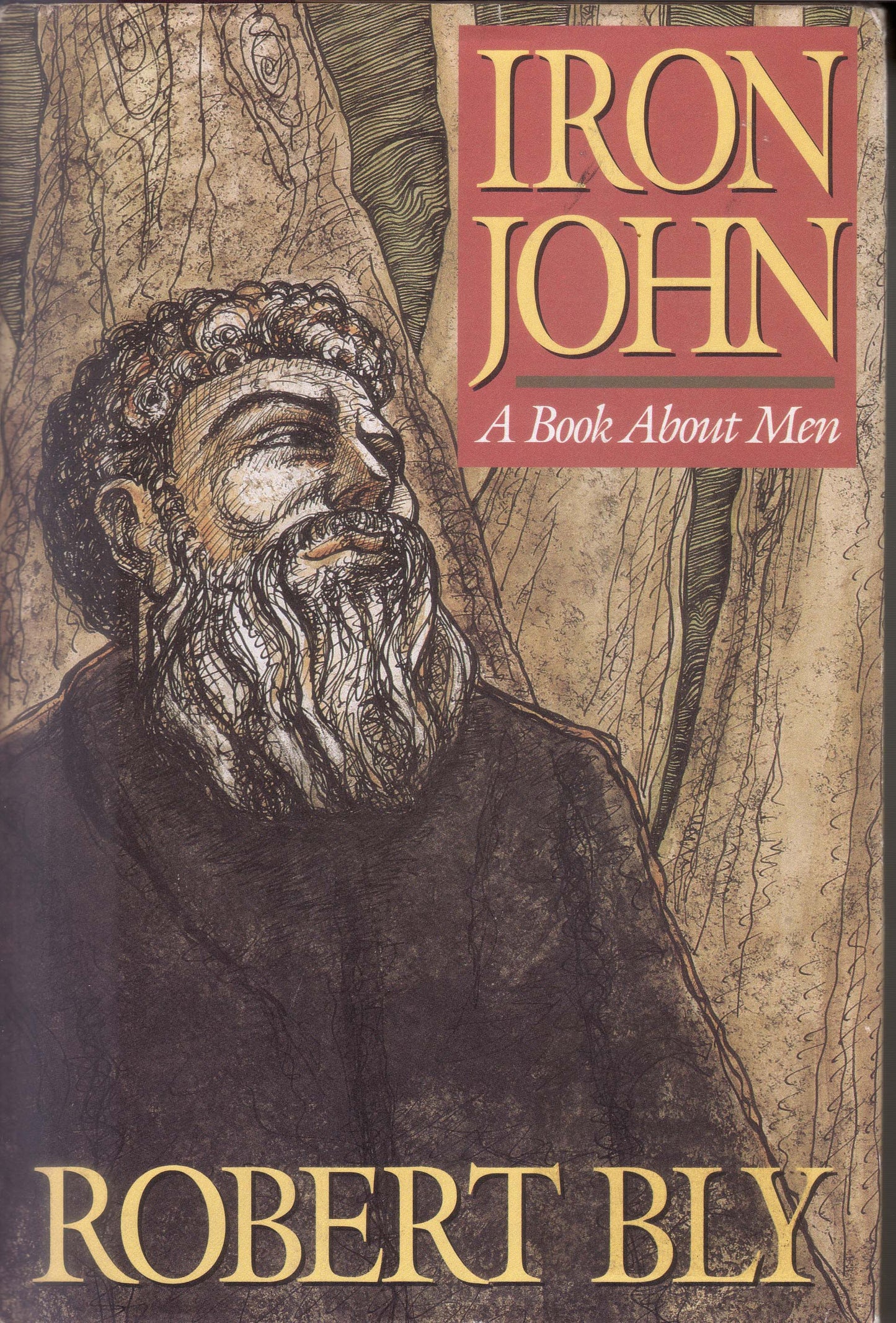 Iron John: A Book About Men by Robert Bly