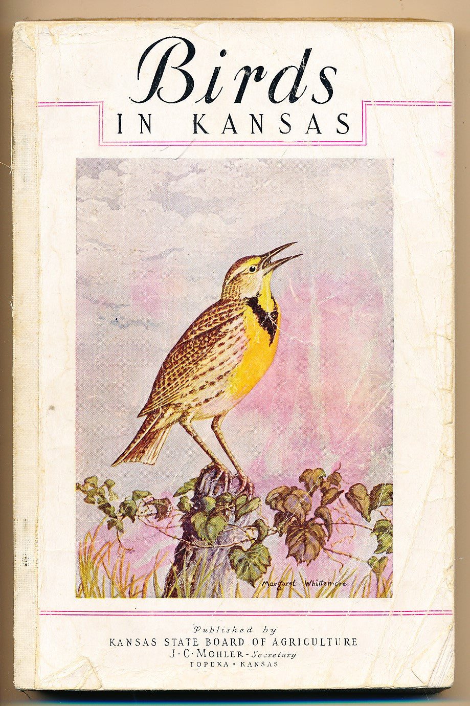 Birds in Kansas by Arthur Leonard Goodrich