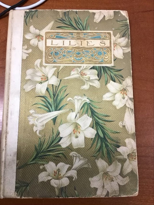 Lilies * Some Pages Are Loose by N.Hudson Moore