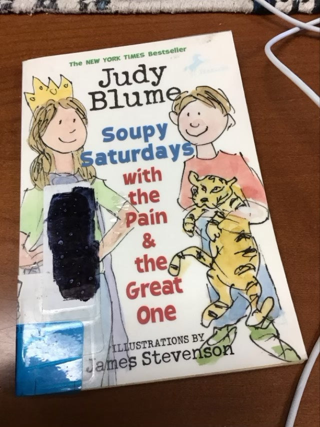 Soupy Saturdays with the Pain and the Great One by Judy Blume *ex-Library Book