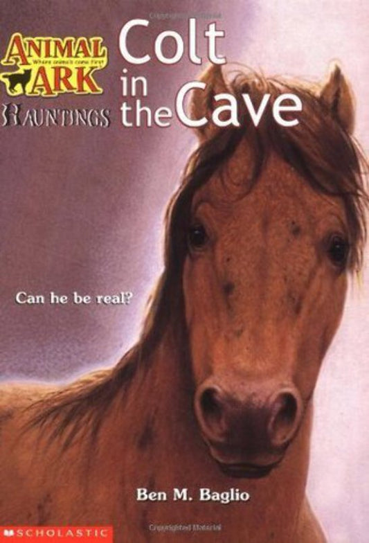 Colt in the Cave (Animal Ark Hauntings, #4) by Ben M Baglio