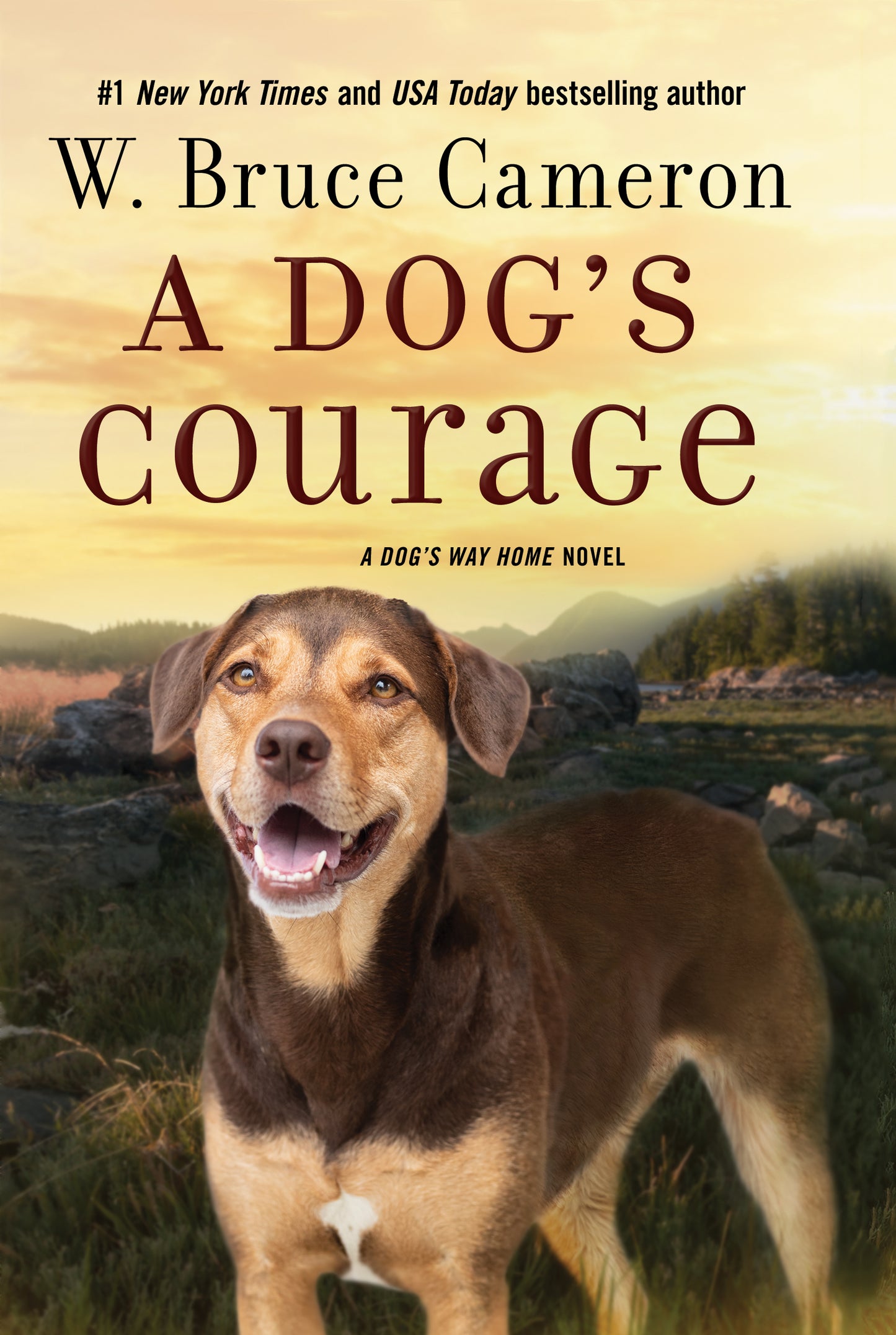 A Dog's Courage  by W. Bruce Cameron