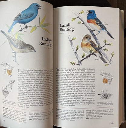 Book Of North American Birds Reader’s Digest 1990 HC Like New Very Good