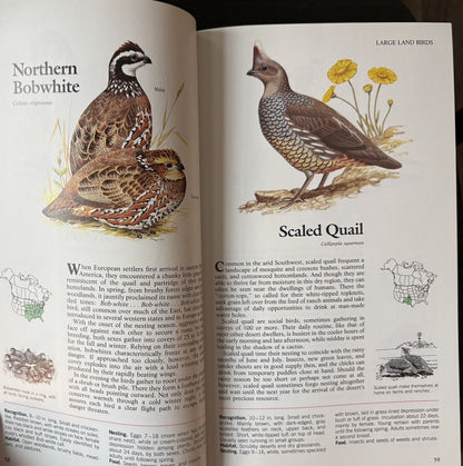 Book Of North American Birds Reader’s Digest 1990 HC Like New Very Good