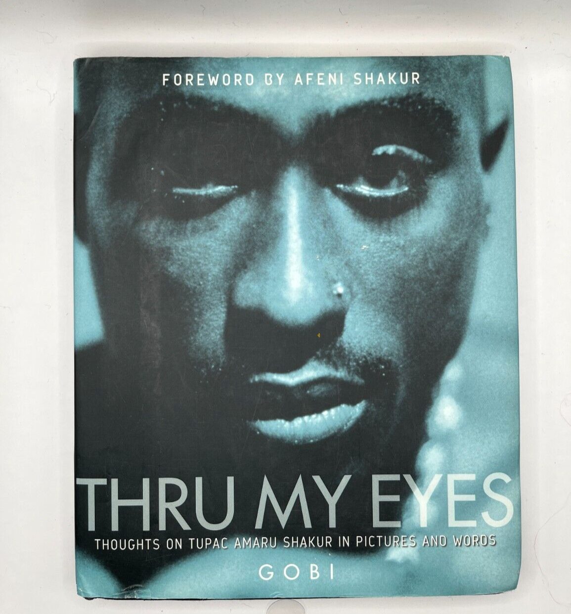 Thru My Eyes by Gobi