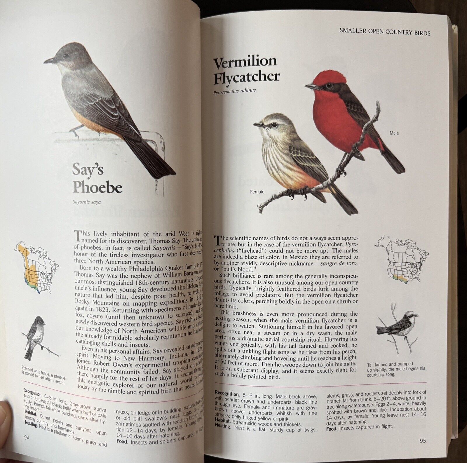 Book Of North American Birds Reader’s Digest 1990 HC Like New Very Good