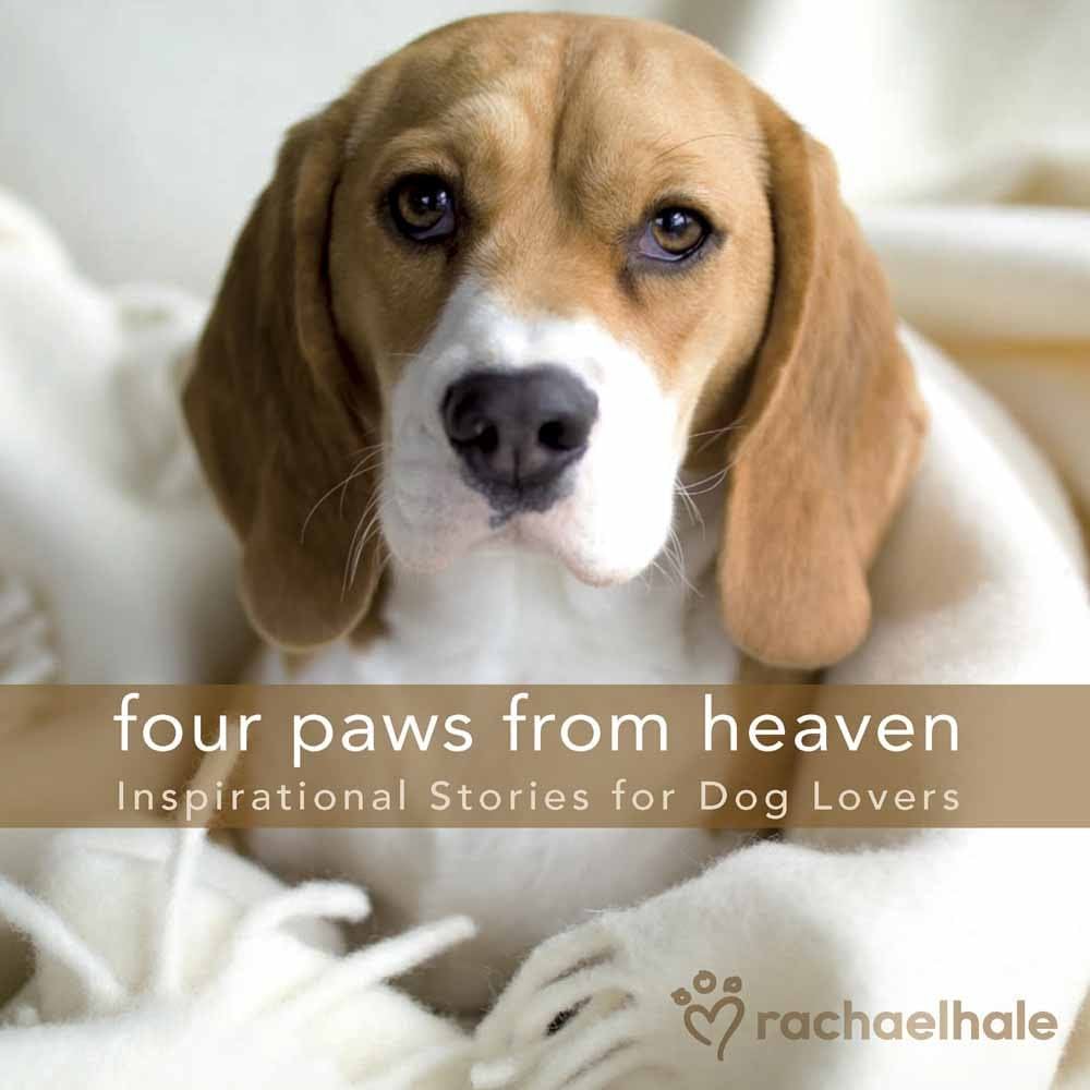 Four Paws from Heaven Gift Edition: Inspirational Stories for Dog Lovers by M.R. Wells