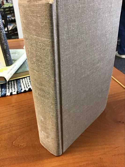 Time in Its Flight by Susan Fromberg Schaeffer
