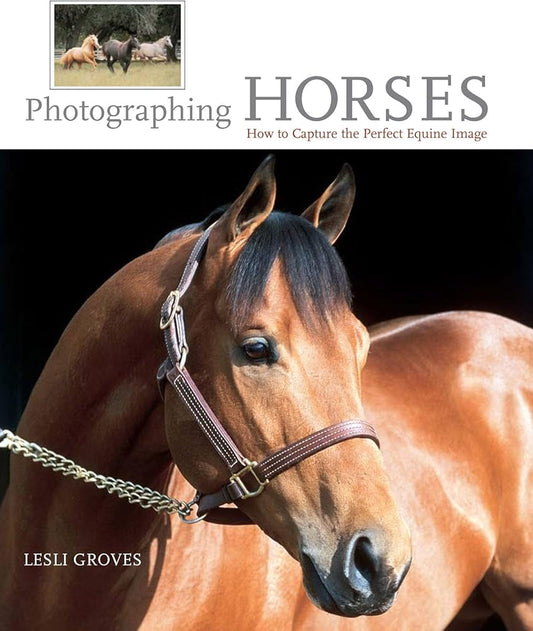 Photographing Horses: How To Capture The Perfect Equine Image by Lesli Groves